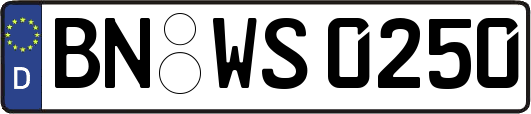 BN-WS0250