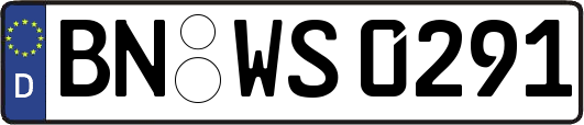 BN-WS0291