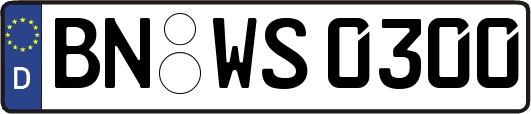 BN-WS0300