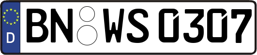 BN-WS0307