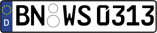 BN-WS0313