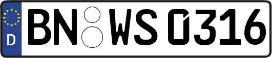 BN-WS0316