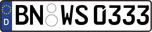 BN-WS0333