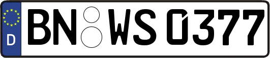 BN-WS0377