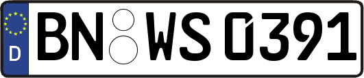 BN-WS0391