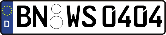 BN-WS0404