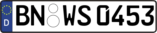 BN-WS0453