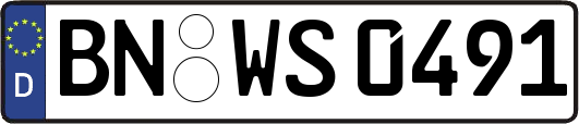 BN-WS0491