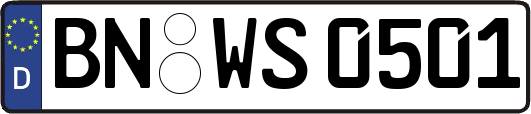 BN-WS0501
