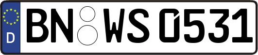 BN-WS0531