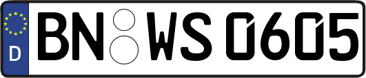 BN-WS0605
