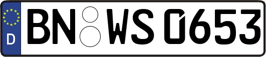 BN-WS0653