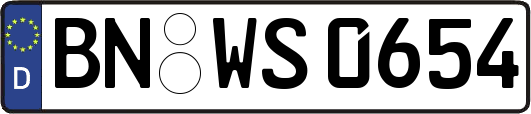 BN-WS0654