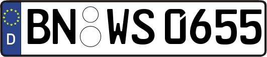 BN-WS0655