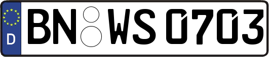 BN-WS0703