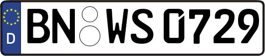 BN-WS0729