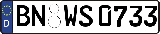 BN-WS0733