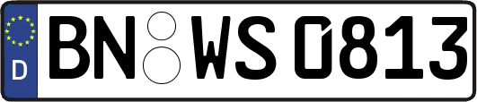 BN-WS0813