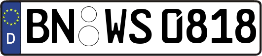 BN-WS0818