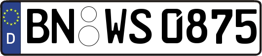 BN-WS0875