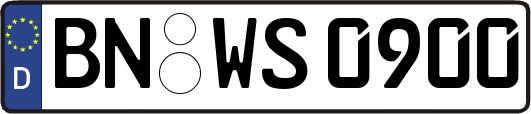 BN-WS0900