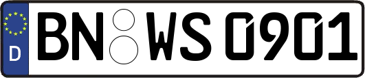 BN-WS0901