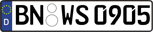 BN-WS0905