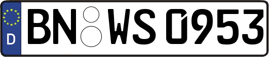 BN-WS0953