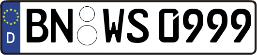BN-WS0999