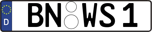 BN-WS1