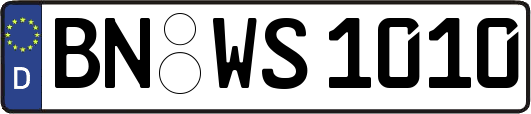BN-WS1010