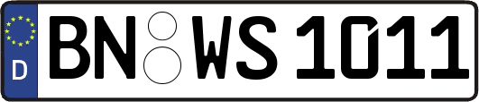 BN-WS1011