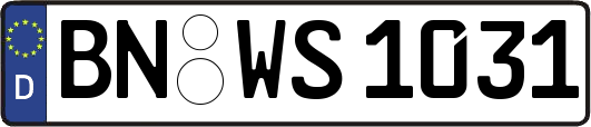 BN-WS1031