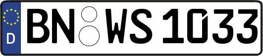 BN-WS1033