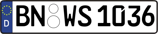 BN-WS1036