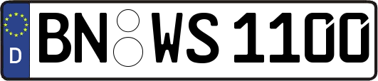 BN-WS1100
