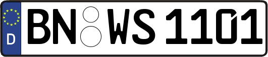 BN-WS1101