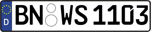 BN-WS1103