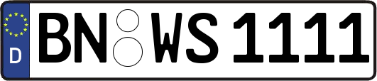 BN-WS1111