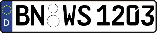 BN-WS1203