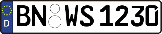 BN-WS1230