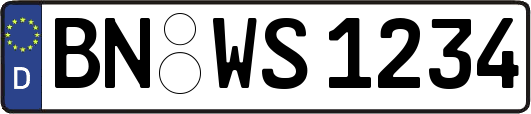 BN-WS1234