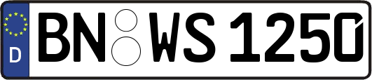 BN-WS1250