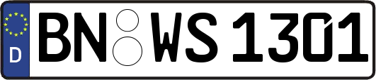 BN-WS1301