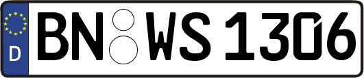 BN-WS1306
