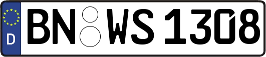 BN-WS1308