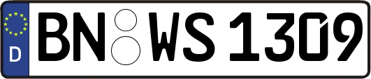 BN-WS1309