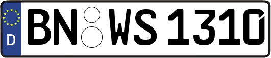 BN-WS1310