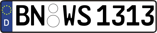 BN-WS1313