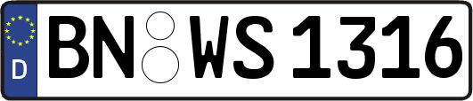 BN-WS1316